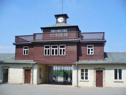 Buchenwald Foto 1