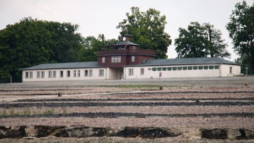 Buchenwald Foto 2