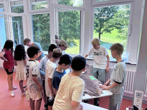Projektwoche_BiberAufSpur_7